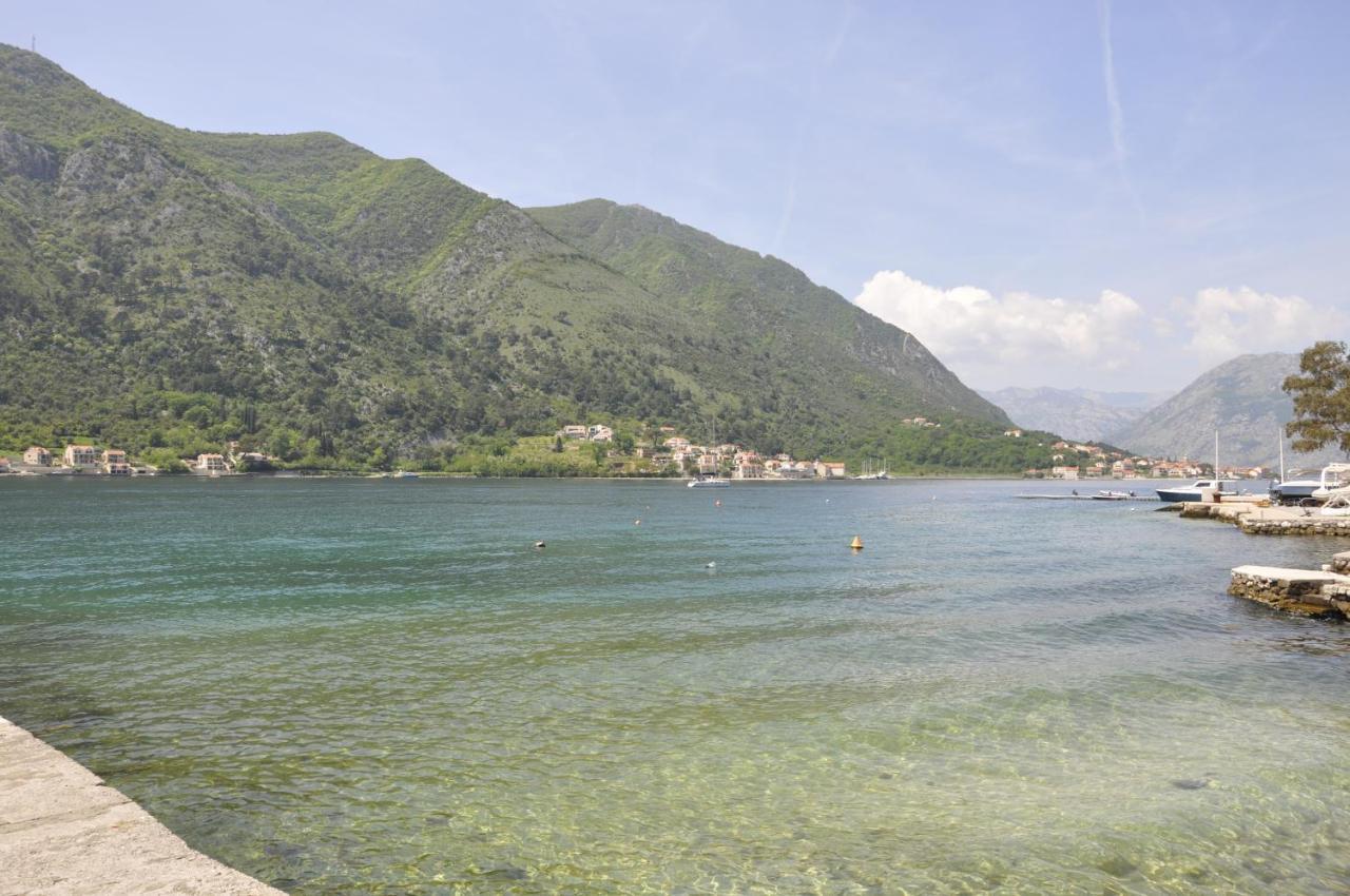 Apartments Vujosevic Kotor Exteriör bild